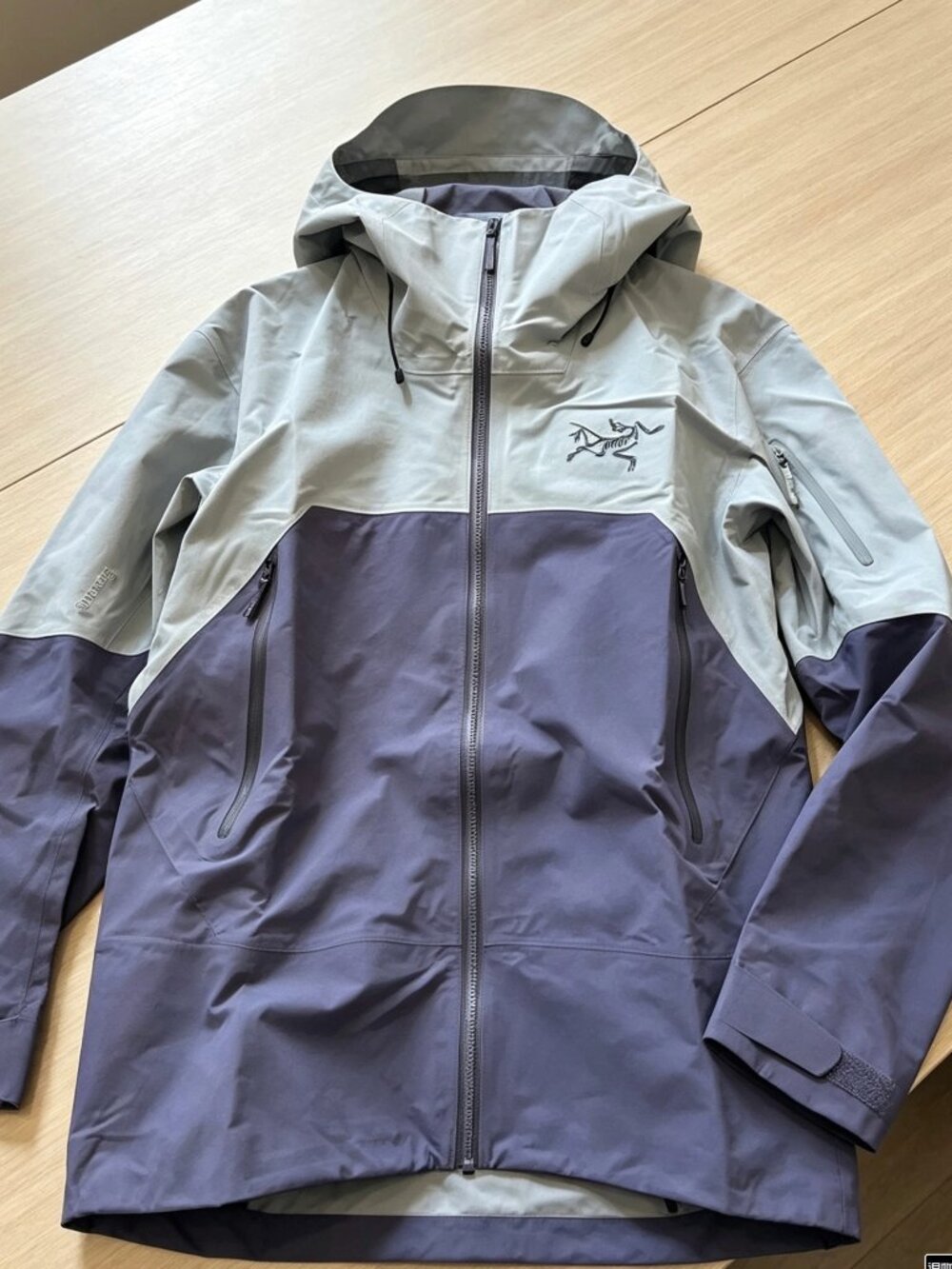 Arc'teryx Rush Gore-Tex Pro Men's Ski Jacket (Size L)